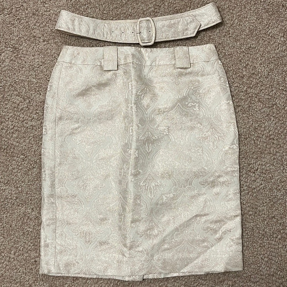 Ann Taylor Petites Skirt